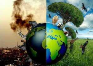 Экологическая агитбригада: сценарий. Экологическая сказка. Экологический кодекс жителя Земли